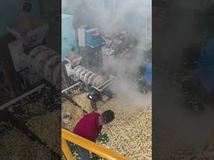 Multifunction Stainless Steel Full Automatic Pet Food Extruder / Feed Pellet Extruder