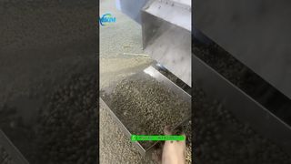 Pengujian mesin ekstruder pelet pakan ikan terapung 200kg/jam sebelum pengepakan #fishfeedmachine