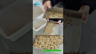 Lini Produksi Pelet Pakan Ikan DGP-85 | Pengenalan & Demo Proses Lengkap#lini produksi pakan ikan