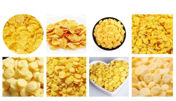 Mesin Ekstrusi Makanan Ringan Puff Stainless Steel dengan Motor WEG