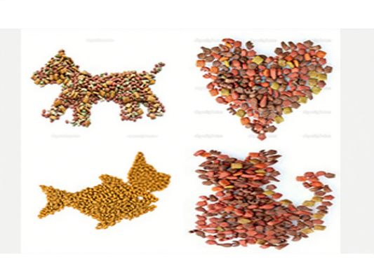 Profesional Pet Food Extruder / Twin Screw Extruder UNTUK Anjing, Cat, Ikan