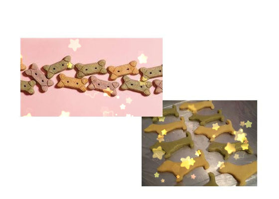 DR -280 Mesin Pembuat Biskuit Anjing Berwarna Stainless Steel Dengan Kinerja Yang Stabil