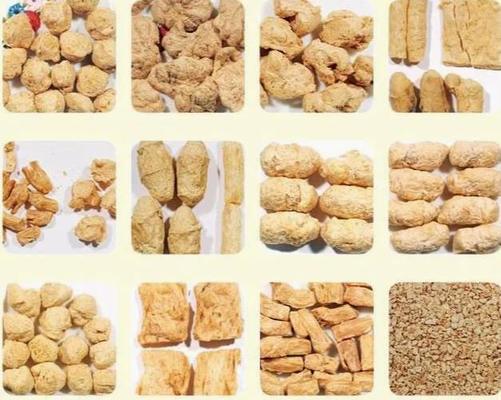 Textured Fiber Vegetarian Snack Food Extruder Process Line, Desain Unik, layanan bintang 5