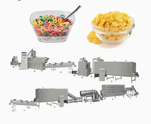 Kelloggs Corn Flakes Processing Line