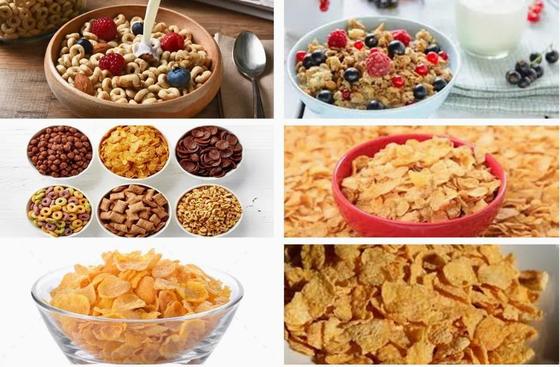 Lini Produksi Corn Flakes Stainless Steel Baru Mesin Extruder Screw Ganda
