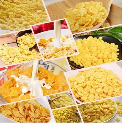 Jalur pemrosesan serpihan jagung nutrisi tinggi dengan sistem kontrol PLC