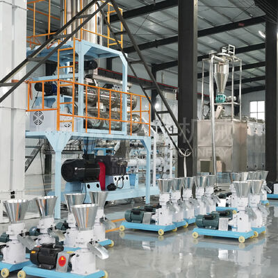 Double Screw Extruder Floating Fish & Animal Feed Pellet Production Line Mesin 300-400kg/h Produktivitas tinggi